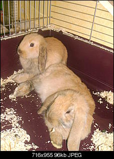 Knuddel & Betty-03300014.jpg