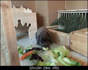 Honey, Paul und Penny stellen sich vor!-7f96f0e2-80d7-4ac2-95f0-294fdc8d74d7.jpeg