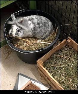 Klicke auf die Grafik f�r eine gr��ere Ansicht

Name:	yakul.jpg
Hits:	60
Gr��e:	52,2 KB
ID:	55917