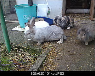 Ein kleines M�rchen....-dsc00649.jpg