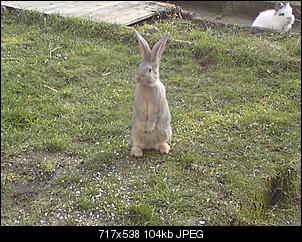 Ein kleines M�rchen....-dsc00670.jpg