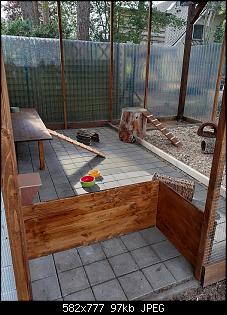 Langj�hriger Ninchen-Besitzer und doch unerfahren-20200901_160323.jpg