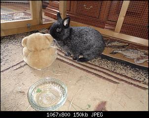 Foto mit Teddy-fullsizeoutput_49f.jpg