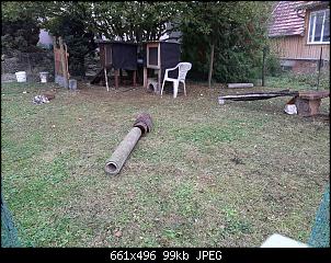 Unsere Fellgesichter sagen Halloooo ;-)-20201017_150439.jpg