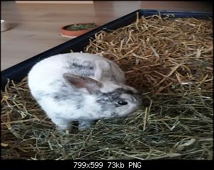 Neustart mit Cody & Eddie-birgit-bilder-1011-1-.jpg