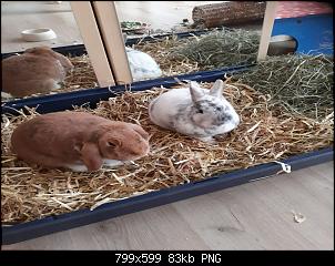 Neustart mit Cody & Eddie-birgit-bilder-1155-1-.jpg