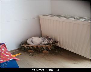 Neustart mit Cody & Eddie-birgit-bilder-1166.jpg