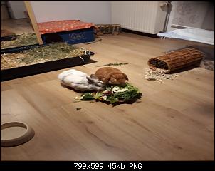 Neustart mit Cody & Eddie-birgit-bilder-1660-1-.jpg
