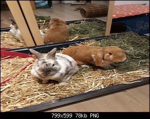 Neustart mit Cody & Eddie-birgit-bilder-050.jpg