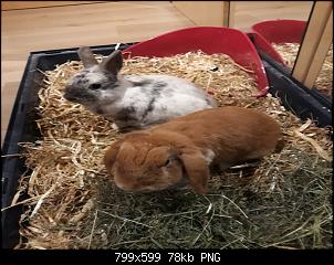 Neustart mit Cody & Eddie-birgit-bilder-051.jpg