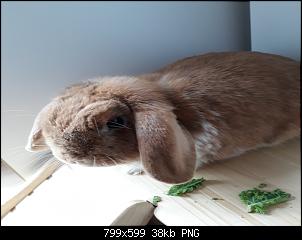 Neustart mit Cody & Eddie-birgit-bilder-071.jpg