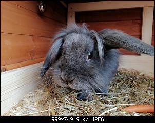Wir sind Chico, Mia und M�mel-img_20200824_182452.jpg