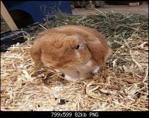 Neustart mit Cody & Eddie-birgit-bilder-005.jpg