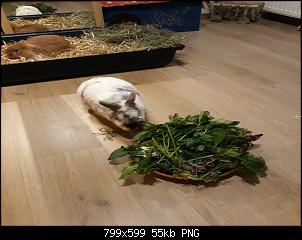 Neustart mit Cody & Eddie-birgit-bilder-009.jpg