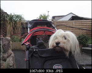 Freundschaft-fullsizeoutput_518.jpg