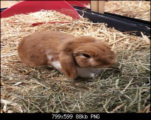 Neustart mit Cody & Eddie-bilder-birgit-024.jpg