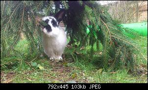 Klicke auf die Grafik f�r eine gr��ere Ansicht

Name:	2019_Okt_19 (15).jpg
Hits:	16
Gr��e:	103,1 KB
ID:	57211