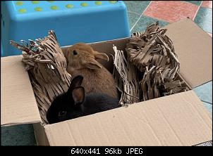 Hallo zusammen! :-)-01aadd93-3a6c-43c7-ab83-56864253ffcd.jpeg
