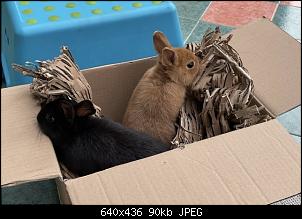 Hallo zusammen! :-)-75c32bab-bfcc-4e0e-bab2-c33fa0ded252.jpeg