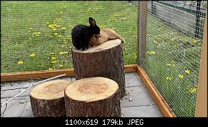 Hallo zusammen! :-)-0f7bfdd5-2bd1-44c4-92f8-a3dd418ab350.jpg