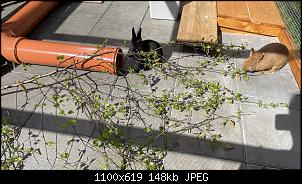 Hallo zusammen! :-)-40a36dc5-7f55-4524-9de6-304bc5e37e89.jpg