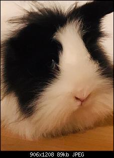 Gigi und Bubi aus M�nchen-gigi.jpg