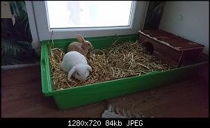 Oskar und Wotan-img_20210520_113907_067.jpg
