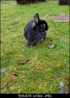 Hallo :)-twixy.jpg