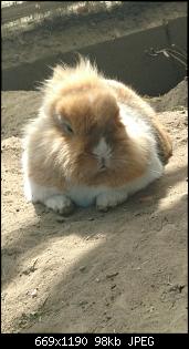 Hallo :)-sparky-2.jpg