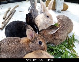 Unsere kleine Familie-img_20210424_152437.jpg