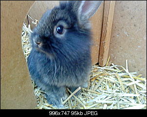 Elvis und Kr�mel bilder thread:)-dsc03602.jpg