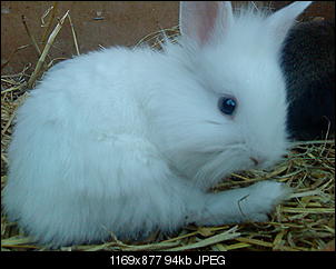 Elvis und Kr�mel bilder thread:)-dsc03600.jpg