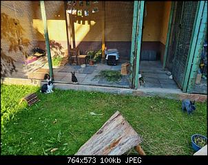 Die Drei m�chten sich vorstellen...-img_20210708_215033_260.jpg