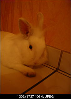 Elvis und Kr�mel bilder thread:)-100_2394.jpg