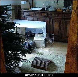 Lang gehegten Kindheitstraum erf�llt-img-20211226-wa0000%7E2.jpg