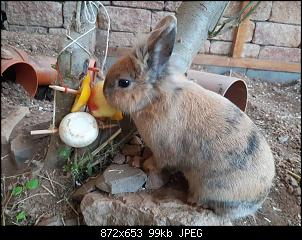 Eddy und Betty-betty_anhang_1.jpg