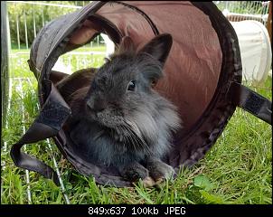 Eddy und Betty-eddy_anhang_1.jpg