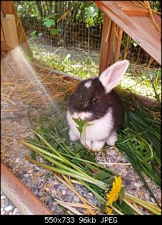 Klicke auf die Grafik f�r eine gr��ere Ansicht

Name:	20220503_100248_copy_600x800.jpg
Hits:	52
Gr��e:	96,1 KB
ID:	58738