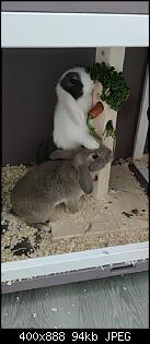 �hrchen und M�hrchen :-)-img_20220505_095334.jpg