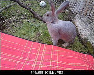 Ein kleines M�rchen....-dsc00712.jpg