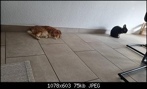 Der Sch�ne und die Speckprinzessin-screenshot_20221027-174232_gallery.jpg