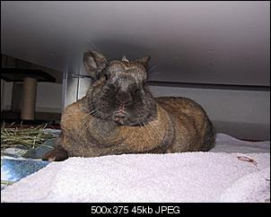 Aus 4 werden 5?-alfred-04.03.11-3.jpg