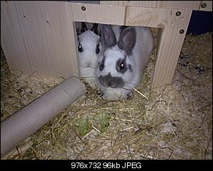 Ein gro�es und freundliches Hallo-05032011194.jpg
