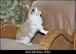 Ein freundliches Hallo-dsc_6372_1.jpg
