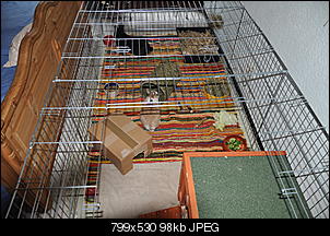 Ein freundliches Hallo-dsc_6387_1.jpg