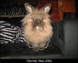 Xaver und Lilly Bilders!!!!-189757_161206287267647_100001348309379_297614_6939687_n.jpg