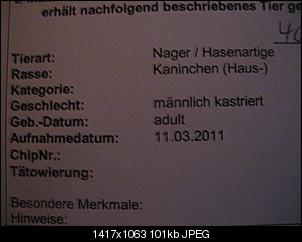 M�nnlich, ledig, jung sucht ....-imgp1767.jpg