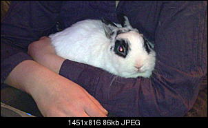 meine zwei-20032011054.jpg