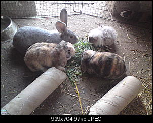 Ein kleines M�rchen....-dsc00863.jpg