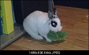 meine zwei-01042011066.jpg